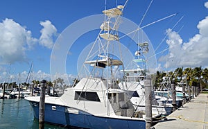 Charter Sport Fishing Boats with Tuna Towers