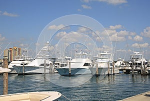 Chartered Fishing Boats, West Palm Beach, Florida, USA photo