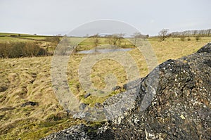 Charterhouse Lead Mine Ponds