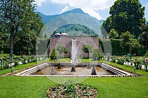 Chashme Shahi is one of the Mughal gardens built in 1632 AD, overlooking Dal Lake in Srinagar