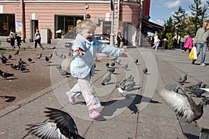 Chasing pigeons