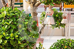 Chasing rain Japanese doll hanging under tree on nature backgroud.It is used to hang or decorate and to drive away evil things