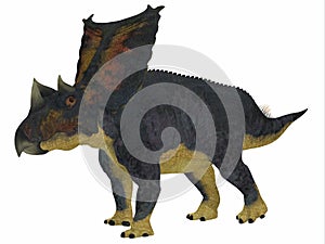 Chasmosaurus Dinosaur Side Profile