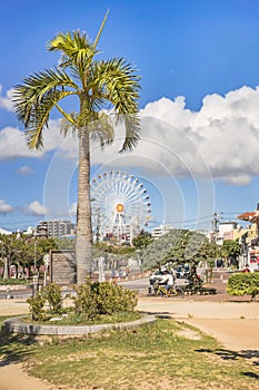 Chatan Cityâ€™s Sunset beach palm tree and Mihama Carnival Park Ferris wheel in the American Village