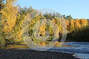 Chatanika River in Fall