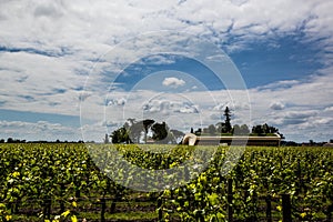 Chateau Cheval Blanc mansion and vineyard,saint emilion, right bank,Bordeaux, France