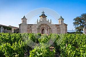 Chateau Cos D'Estournel, Bordeaux Region, France photo