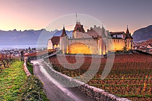 Chateau d'Aigle, Switzerland