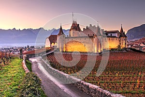 Chateau d'Aigle, Switzerland photo
