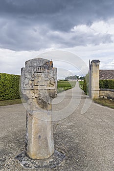 Chateau d Yquem, Sauternes, Bordeaux, Aquitaine, France