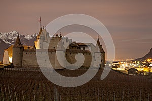 Chateau de Aigle, Vaud, Switzerland photo