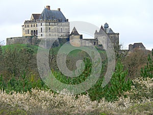 Chateau de Biron (France )