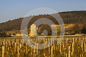 Chateau de Gevrey-Chambertin (castle), Burgundy, France