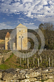 Chateau de Gevrey-Chambertin (castle), Burgundy, France