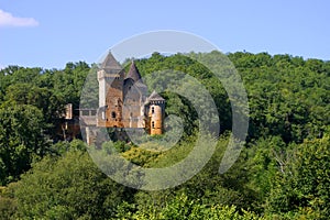 Chateau de Laussel in Dordogne, Aquitaine, France photo