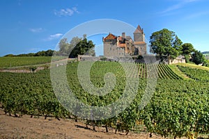 Chateau de Pierreclos, Burgundy, France