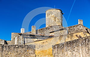 Chateau de Rauzan, a medieval castle in Gironde, France