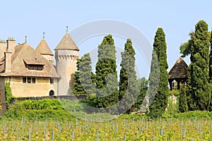 Chateau de Ripaille and vineyard, Ripaille, french Haute Savoie