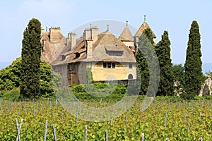 Chateau de Ripaille and vineyard, Ripaille, Haute Savoie, France