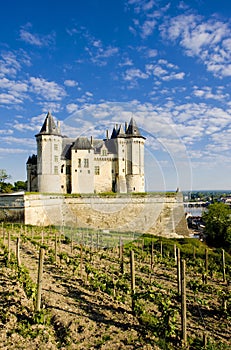 Chateau de Saumur