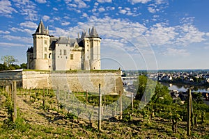Chateau de Saumur, Pays-de-la-Loire, France