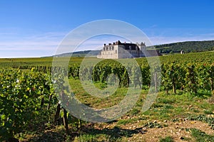 Chateau du Clos de Vougeot, Cote d`Or, Burgundy