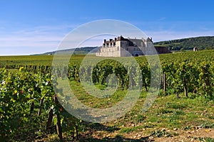 Chateau du Clos de Vougeot, Cote d`Or, Burgundy