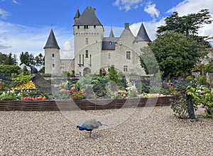 Chateau du Rivau Touraine region France