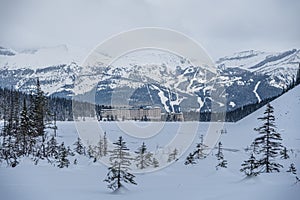 Chateau Lake Louise in winter