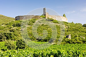 Chateau-le-Castellas