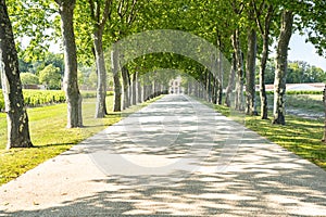 Chateau Margaux in Bordeaux, France