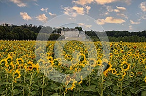 Chateau Montgeoffroy in Loire valley, france