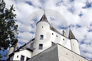 Chateau at Nyon, Switzerland photo