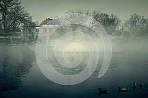 Chateau with a pond in the mist