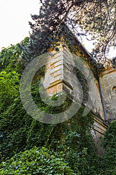 Chateau in ruins from the mid XIX. photo