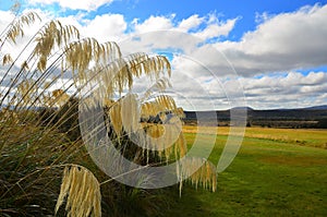 Chateau Tongariro grounds, Ruapehu, New Zealand