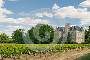 Chateau and vineyard in Margaux, Bordeaux, France photo