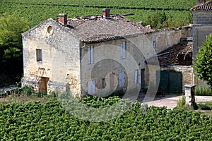 Chateau and vineyard in saint emilion