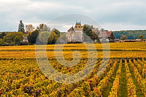 Chateau with vineyards in the autumn season, Burgundy, France