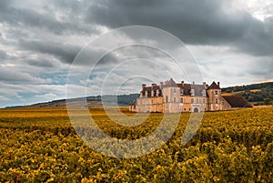 Chateau with vineyards in the autumn season, Burgundy, France