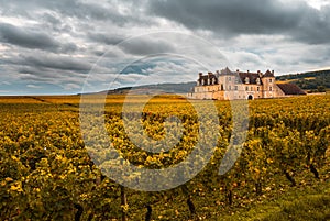 Chateau with vineyards in the autumn season, Burgundy, France