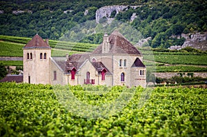 Chateau with vineyards, Burgundy, France