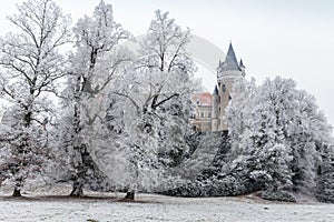 Chateau Zleby in winter