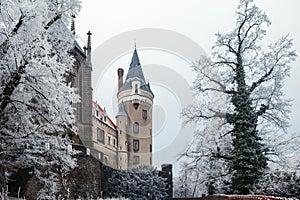 Chateau Zleby in winter
