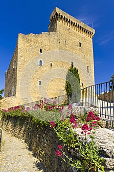 Chateauneuf-du-Pape castle ruins, Cotes du Rhone, France