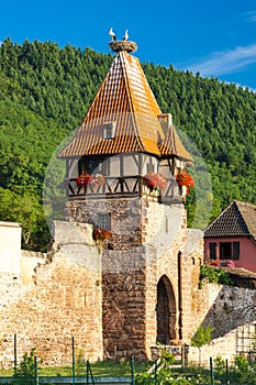 Chatenois, Alsace, France