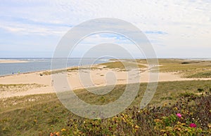 Chatham, Cape Cod beach with wild roses photo