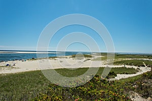 Chatham Lighthouse Beach, MA, USA