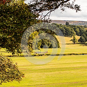 Chatsworth House Derbyshire Peakdistrict Grounds