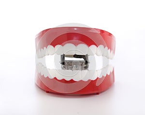 Chattering funny novelty teeth photo